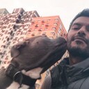  ,   Sayed, 41 ,   ,   , c , 