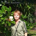  ,   , 51 ,   ,   , c , 