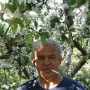  ,   Gaz maz, 59 ,     , c 