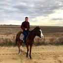 ���������� ���������, ���� ����� ������, 24 ����, ������������ ��� c�������� ���������