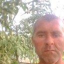  ,   , 47 ,     , c 