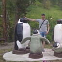 ���������� �������, ���� ������� ������, 38 ���, ������������ ��� ������, c�������� ���������, ���������