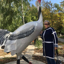  ,   , 70 ,   
