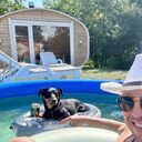 ���������� ������, ���� ������� ������, 43 ����, ������������ ��� ������, ����� � ���������