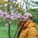 ���������� ��������������, ���� ������� �lga, 61 ���, ������������ ��� ������, ����� � ���������