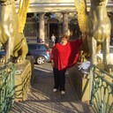 ���������� ��������, ���� ������� Milakoless, 64 ����, ������������ ��� ������, ����� � ���������, c�������� ���������, ���������