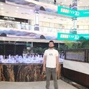 ���������� ������, ���� ������� ����, 31 ���, ������������ ��� ������, ����� � ���������, c�������� ���������, ���������