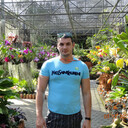  --,   , 42 ,   ,   