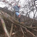 ���������� ����, ���� ������� ����, 38 ���, ������������ 