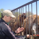 ���������� ���������, ���� ������� Valera, 41 ���, ������������ 