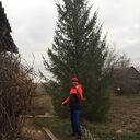 ���������� �������, ���� ������� ������, 53 ����, ������������ ��� ������, ����� � ���������, c�������� ���������, ���������