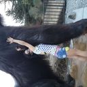  ,   Anna, 36 ,   ,   , c 