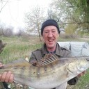 ,   , 60 ,   ,   