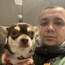 ���������� ������, ���� ������� ������, 33 ����, ������������ ��� ������, ����� � ���������, c�������� ���������, ���������