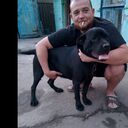  ,   , 41 ,     , c , 