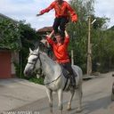  ,   Wolf, 42 ,   ,   , c 