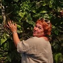 --,   , 51 ,   ,   