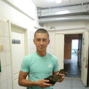 ���������� ����, ���� ������� Roman, 35 ���, ������������ ��� ������