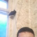 ���������� ������ ��������, ���� ������� �����, 40 ���, ������������ ��� ������, ����� � ���������