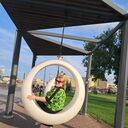 ���������� ������, ���� ������� ������������, 41 ���, ������������ ��� c�������� ���������, ���������