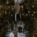 ���������� �����������, ���� ������� �������, 32 ����, ������������ ��� ����� � ���������, c�������� ���������