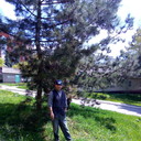  ,   , 54 ,   