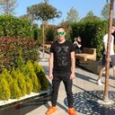 ���������� ���������, ���� ������� ������, 38 ���, ������������ ��� ������, ����� � ���������, c�������� ���������