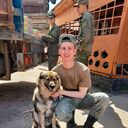 ���������� ������, ���� ����� ���������, 22 ����, ������������ ��� ������, ����� � ���������