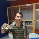 ���������� �������, ���� ������� ����, 40 ���, ������������ ��� ������, ����� � ���������, c�������� ���������, ���������