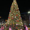  ,   , 21 ,   ,   , c , 