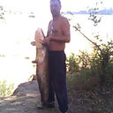  ,   Asik45, 53 ,   
