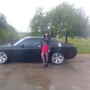 ���������� �����, ���� ������� �����, 40 ���, ������������ ��� ���������