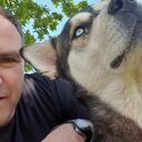 ���������� ������, ���� ������� Semi, 43 ����, ������������ ��� ������, ����� � ���������