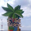 ���������� ����, ���� ������� ������, 36 ���, ������������ ��� ������, ����� � ���������