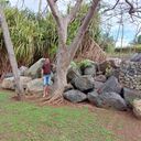 ���������� ����, ���� ������� ������, 44 ����, ������������ ��� ������, ����� � ���������