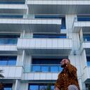  ,   , 24 ,   ,   , c 