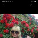  ,   , 53 ,     , c 