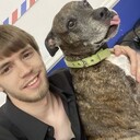 ���������� ������, ���� ������� ���� ��� ��, 27 ���, ������������ ��� ������, ����� � ���������