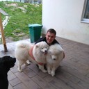  ,   , 38 ,   ,   , c 