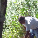 ,   , 38 ,     , c 