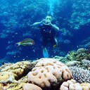 ���������� ������, ���� ������� ����, 35 ���, ������������ ��� ������, ����� � ���������, c�������� ���������, ���������