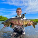 ���������� ������, ���� ������� ����, 29 ���, ������������ ��� ������, ����� � ���������