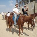  --,   , 43 ,     , c 