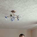 ���������� ���������, ���� ������� ����, 33 ����, ������������ ��� c�������� ���������