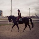 ���������� ������, ���� ������� �����, 34 ����, ������������ ��� ������, ����� � ���������, c�������� ���������