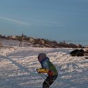 ���������� ���������, ���� ������� ���������, 31 ���, ������������ ��� ���������