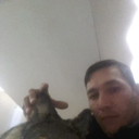 ���������� �������, ���� ������� ��������, 44 ����, ������������ ��� ������, ����� � ���������, c�������� ���������