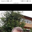 ���������� ������, ���� ������� Ruslan, 46 ���, ������������ ��� ������, ����� � ���������, c�������� ���������