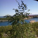 ���������� �����-���������, ���� ������� �����, 47 ���, ������������ ��� ������, ����� � ���������, c�������� ���������