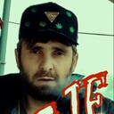 ���������� ���������, ���� ������� Wolf, 37 ���, ������������ ��� ������, ����� � ���������